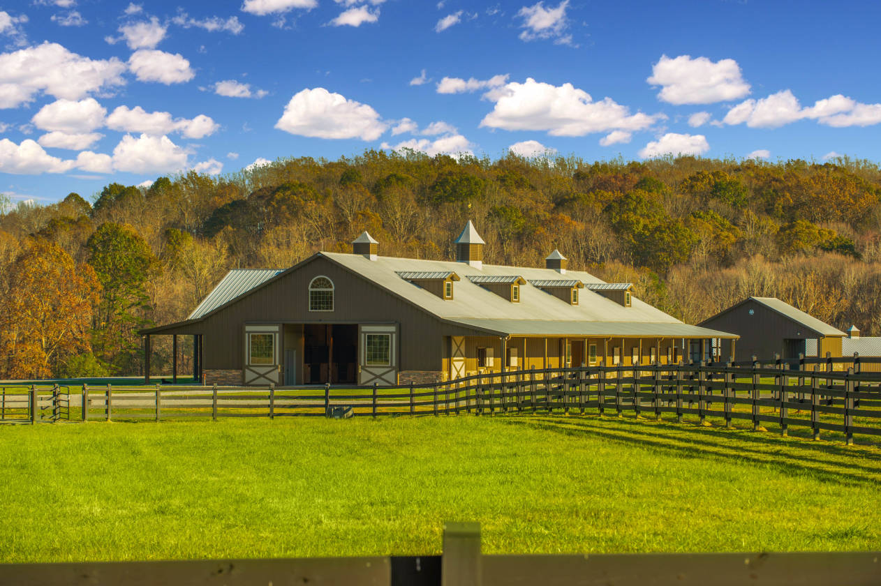 Horse Properties For Sale In South Carolina Southern Farms, Estates