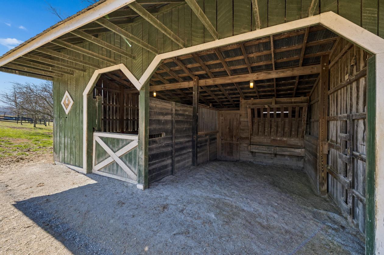 Equestrian Sanctuary with Arena on 5 acres - photo 15