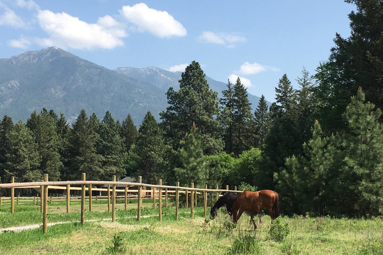 Horse Ranch Near Glacier National Park | Mountain Views! - photo 8