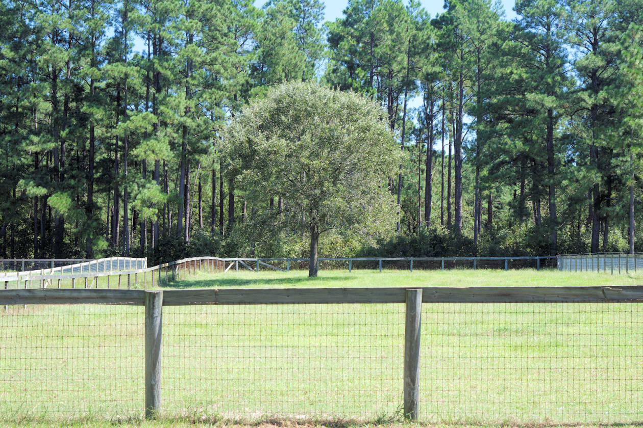 Beautiful Equestrian Paradise Minutes from the Carolina Horse Park Raeford, Hoke County, North
