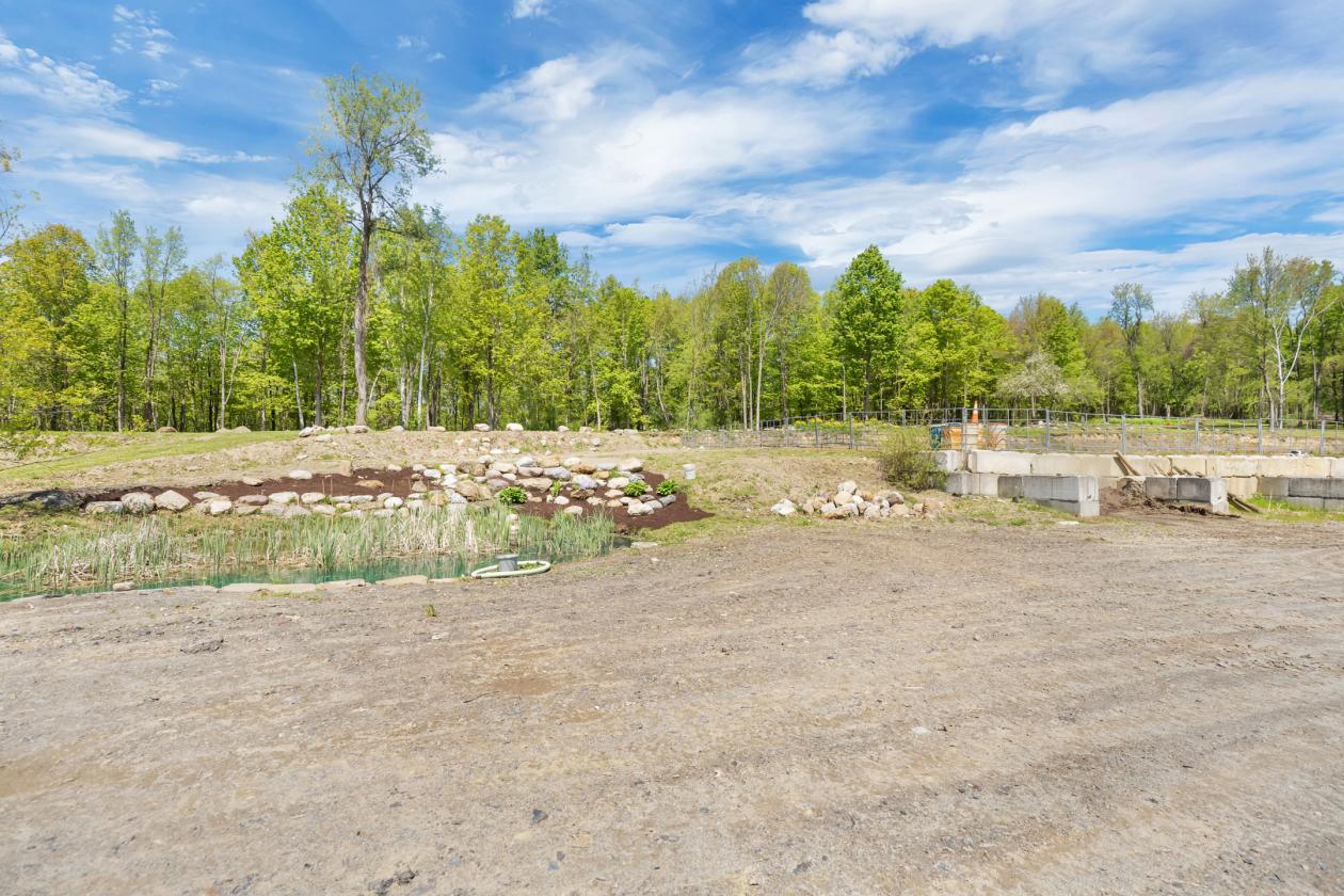 Upstate NY Equine Training & Breeding Facility - photo 10