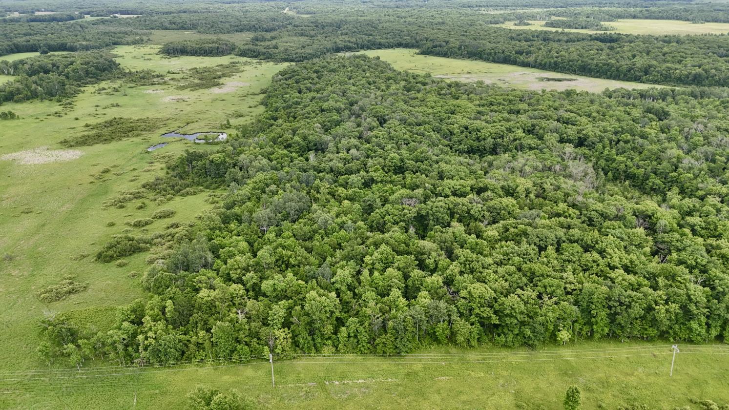 237 Acres!!! - photo 6