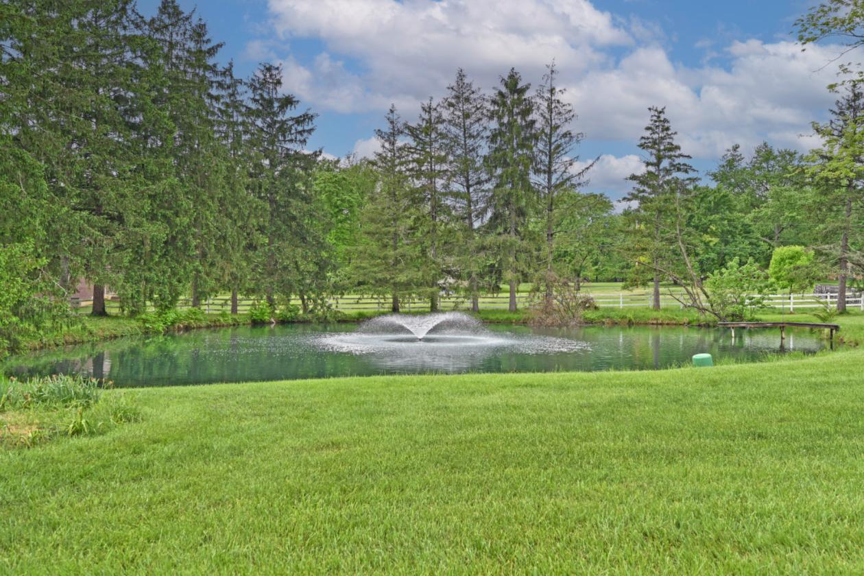 Luxury Equestrian Horse Ranch w/ 6-stall barn! - photo 9