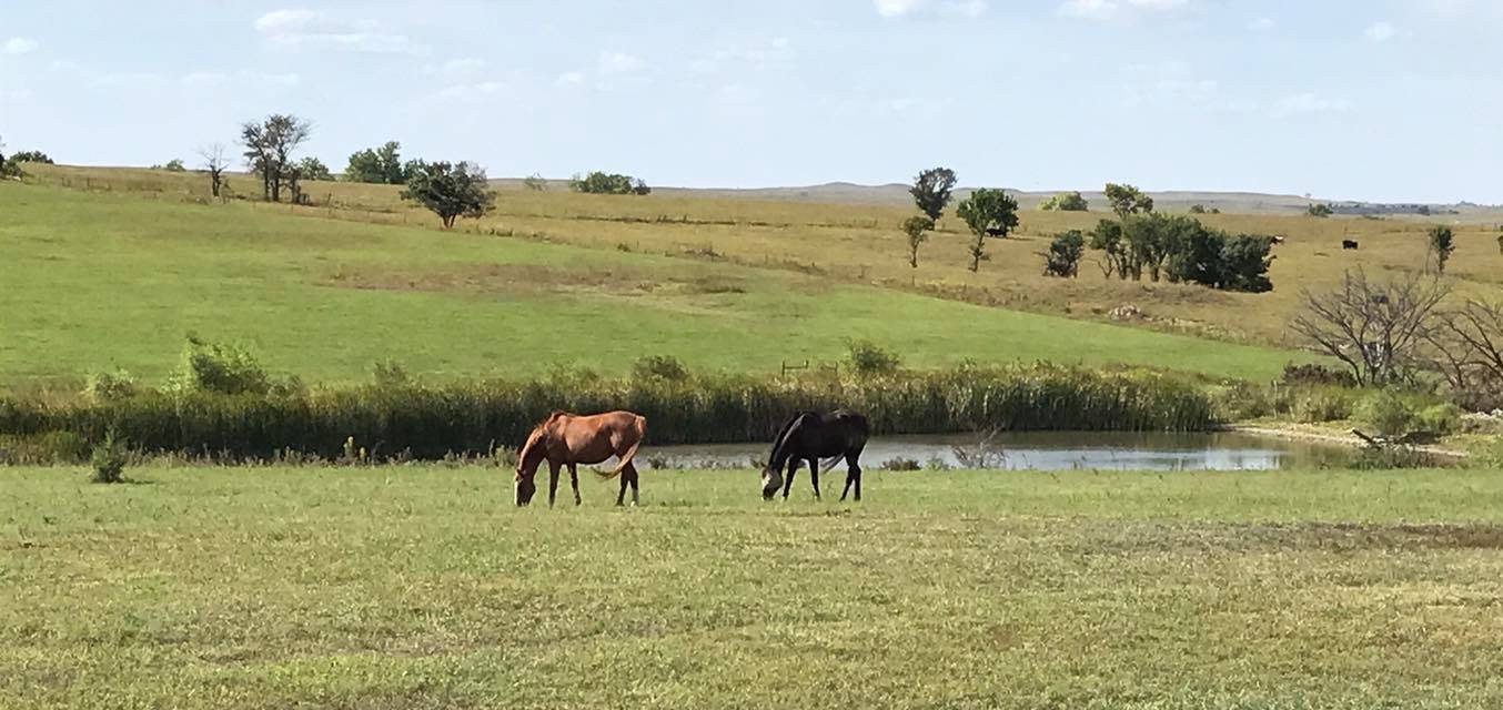 Horse Property For Sale in Kansas, Horse Ranches & Farms For Sale in KS