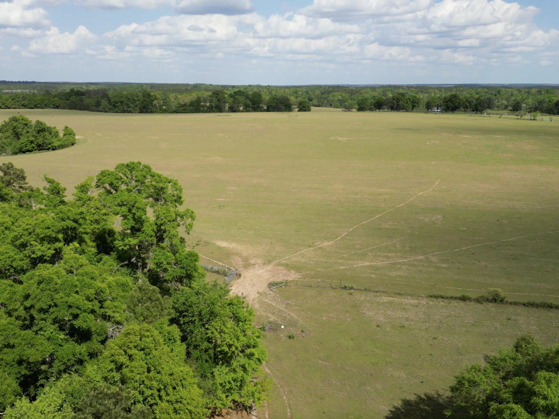 320 prime acres on HIckory Hill, Washington County - photo 14