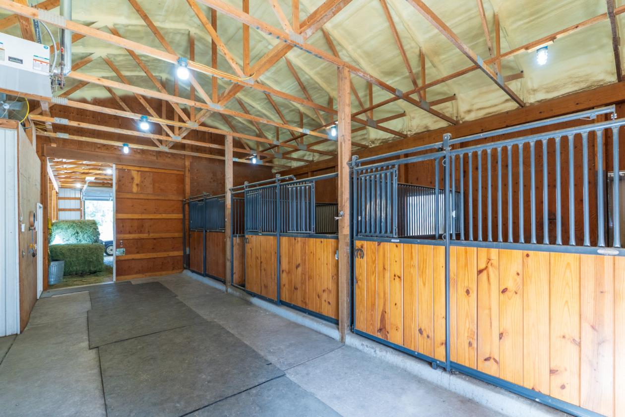 CALLING ALL HORSE LOVERS! - photo 21
