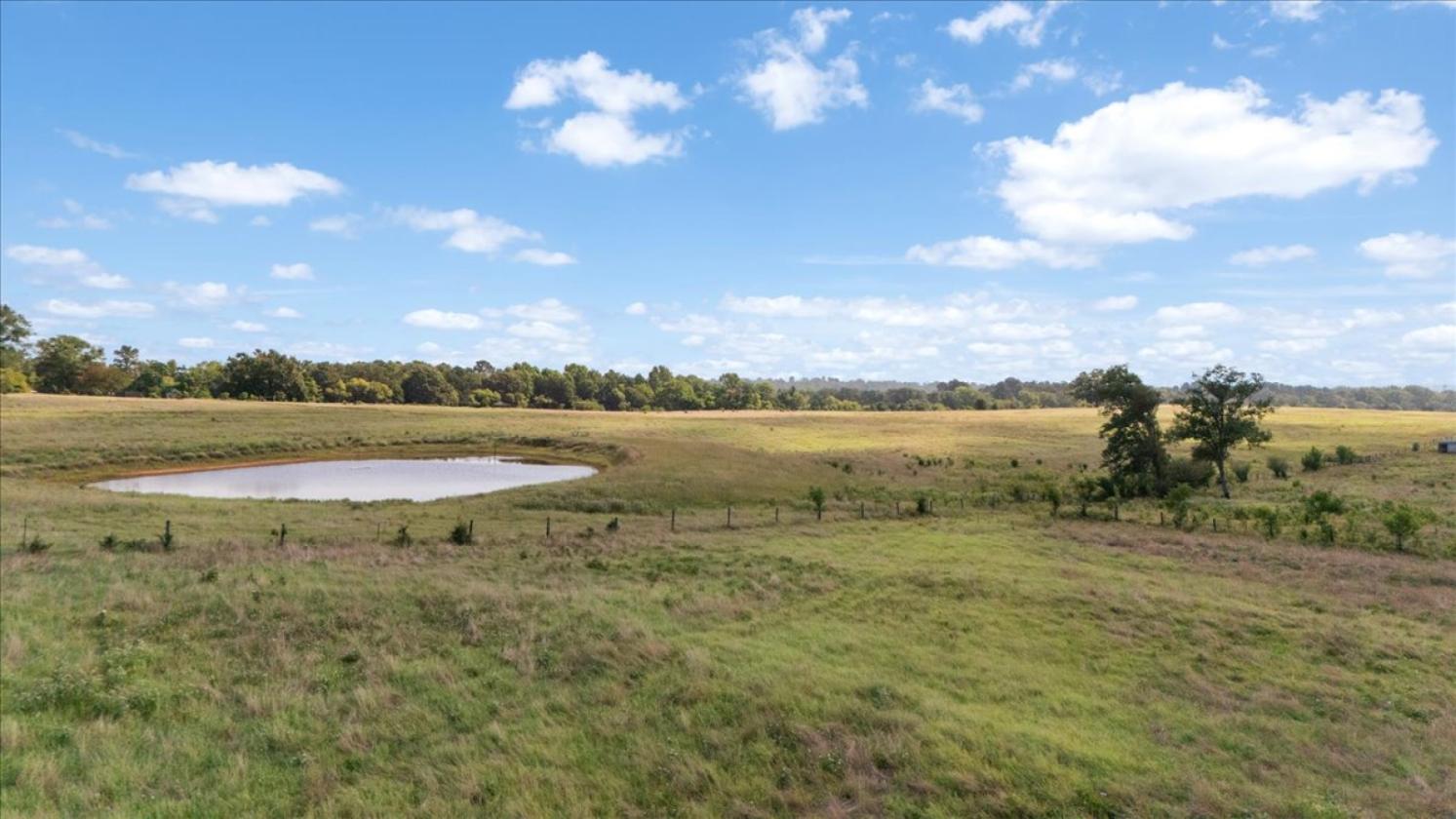 Hickory Hills Farm - 52 acres - photo 9