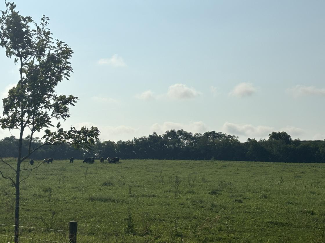 40 acres - photo 4