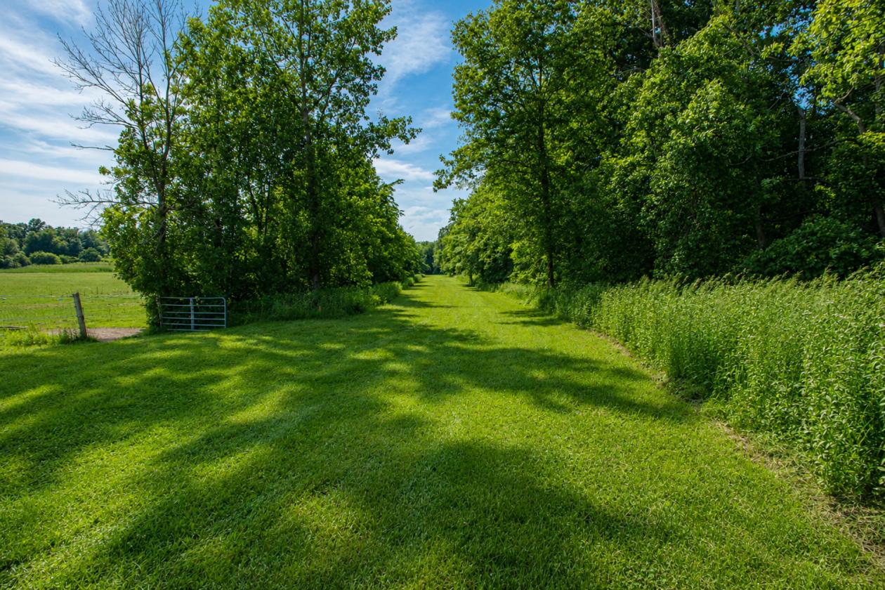 Turnkey Horse Farm on 59 Acres - photo 15