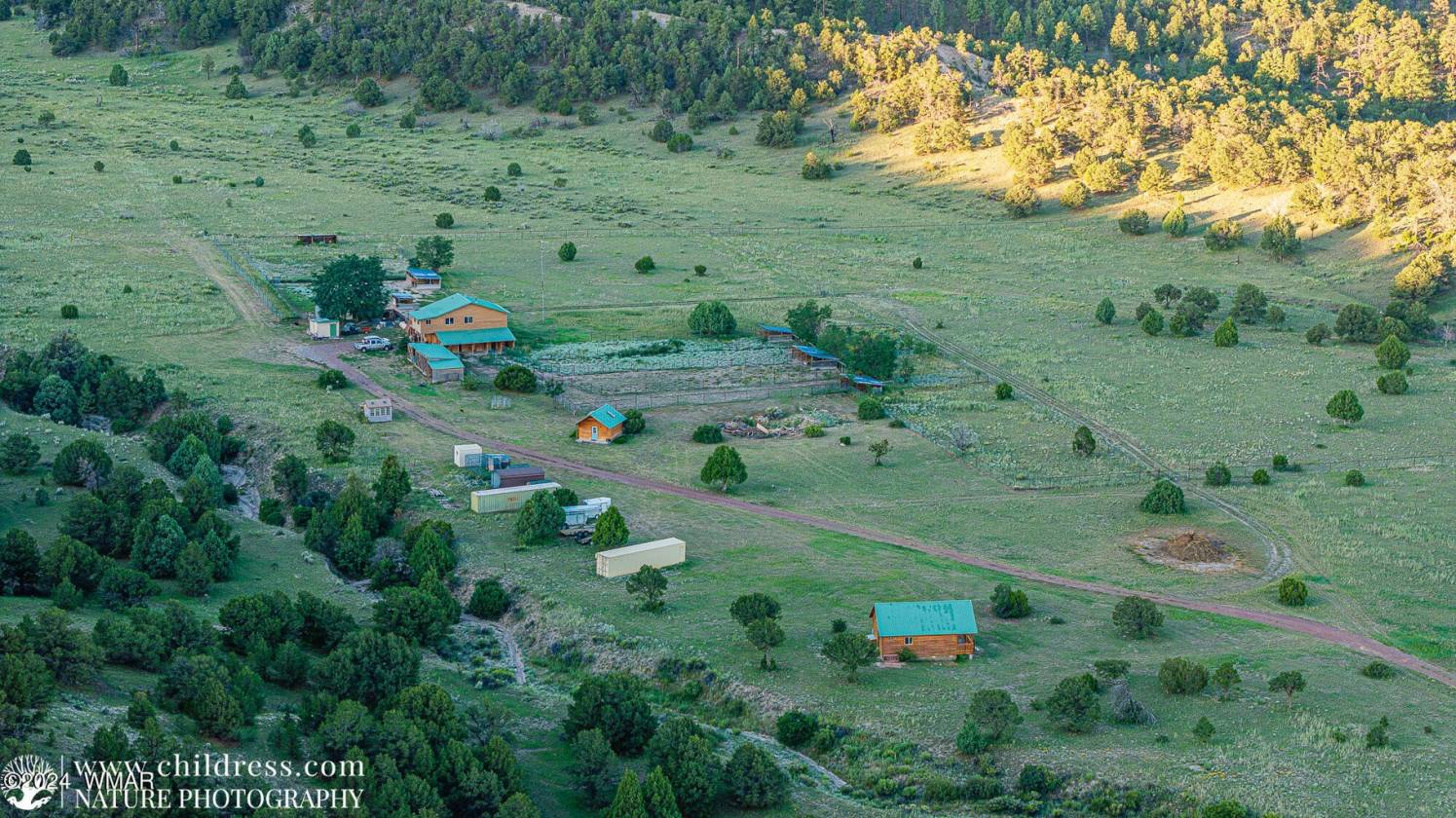 Horse Property for sale.