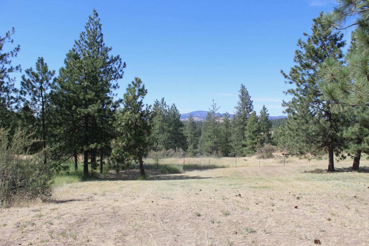 20 Acre horse property - photo 8