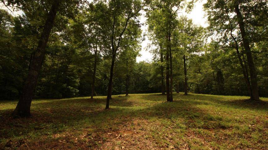 tellico plains single girls A 16-year-old boy reported missing from georgia could be in the tellico plains area thieves target women at knoxville parks meet the team join the team myvlt. tellico plains single girls A 16-year-old boy reported missing from georgia could be in the tellico plains area thieves target women at knoxville parks meet the team join the team myvlt.