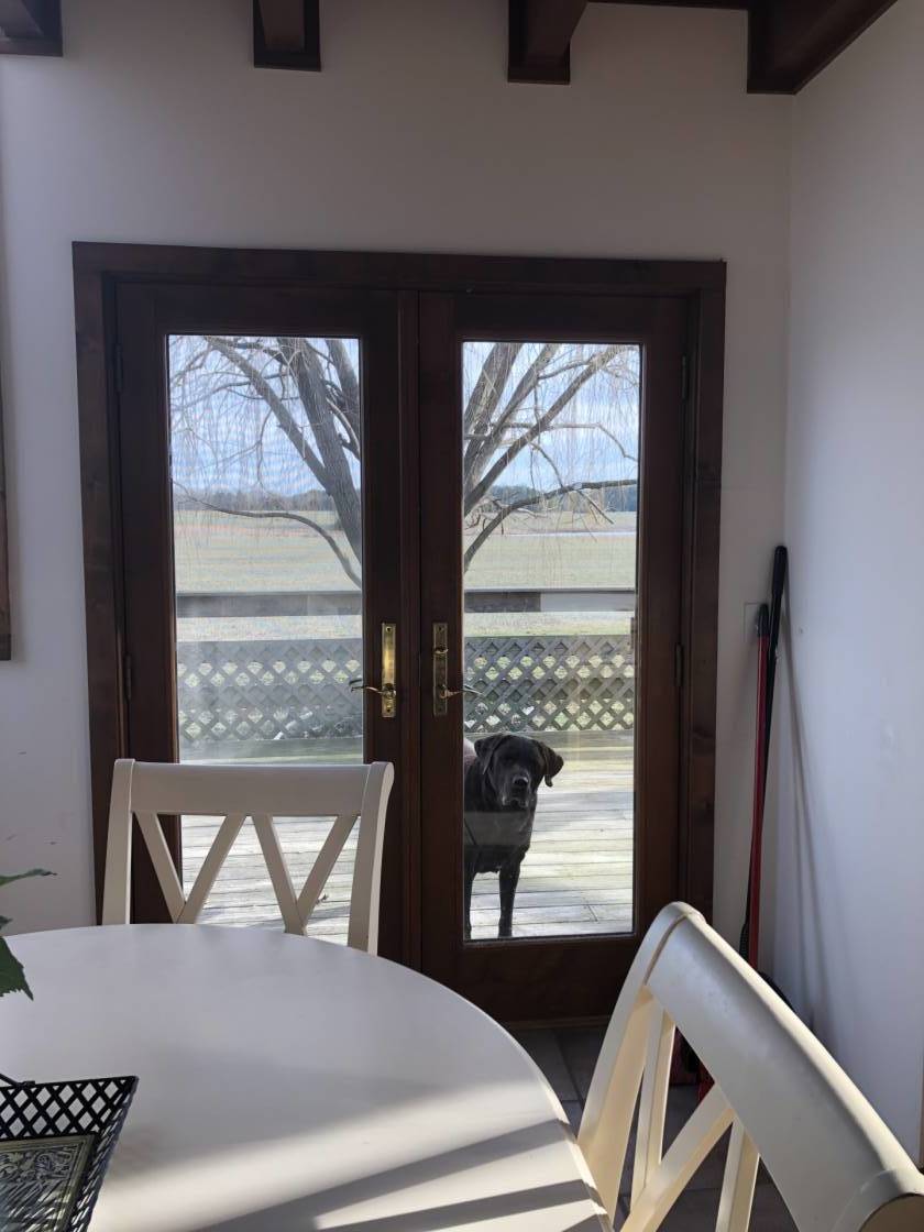 PENTRIDGE WOODS FARM Chestertown, Kent County, Maryland