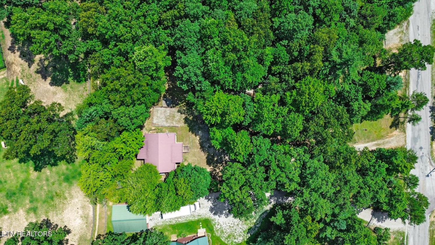 Cozy cabin in the woods, Big South Fork - photo 29