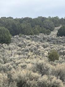 Property image.