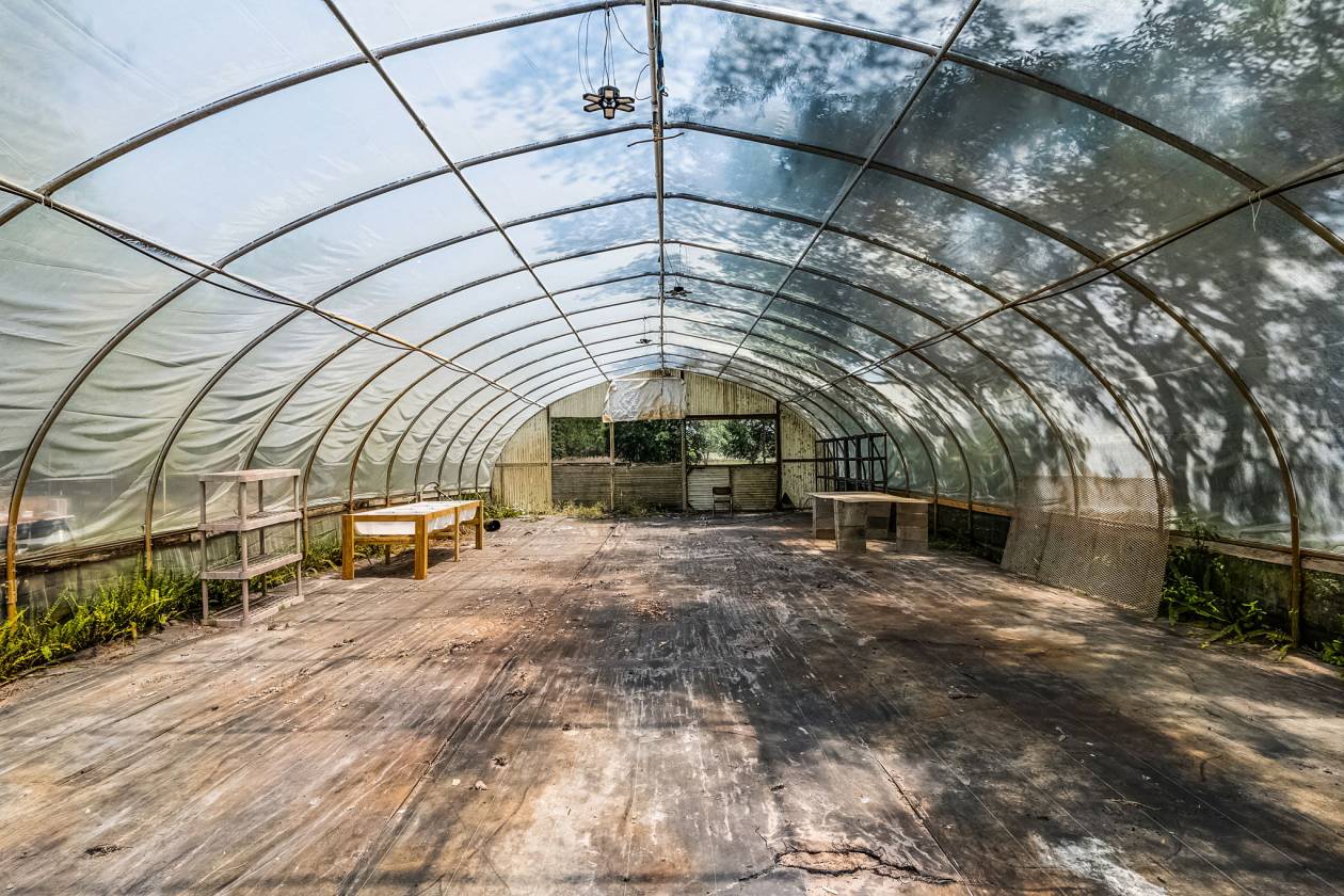 Private & Rare Wild Old Florida 36 Acre Gem - photo 21