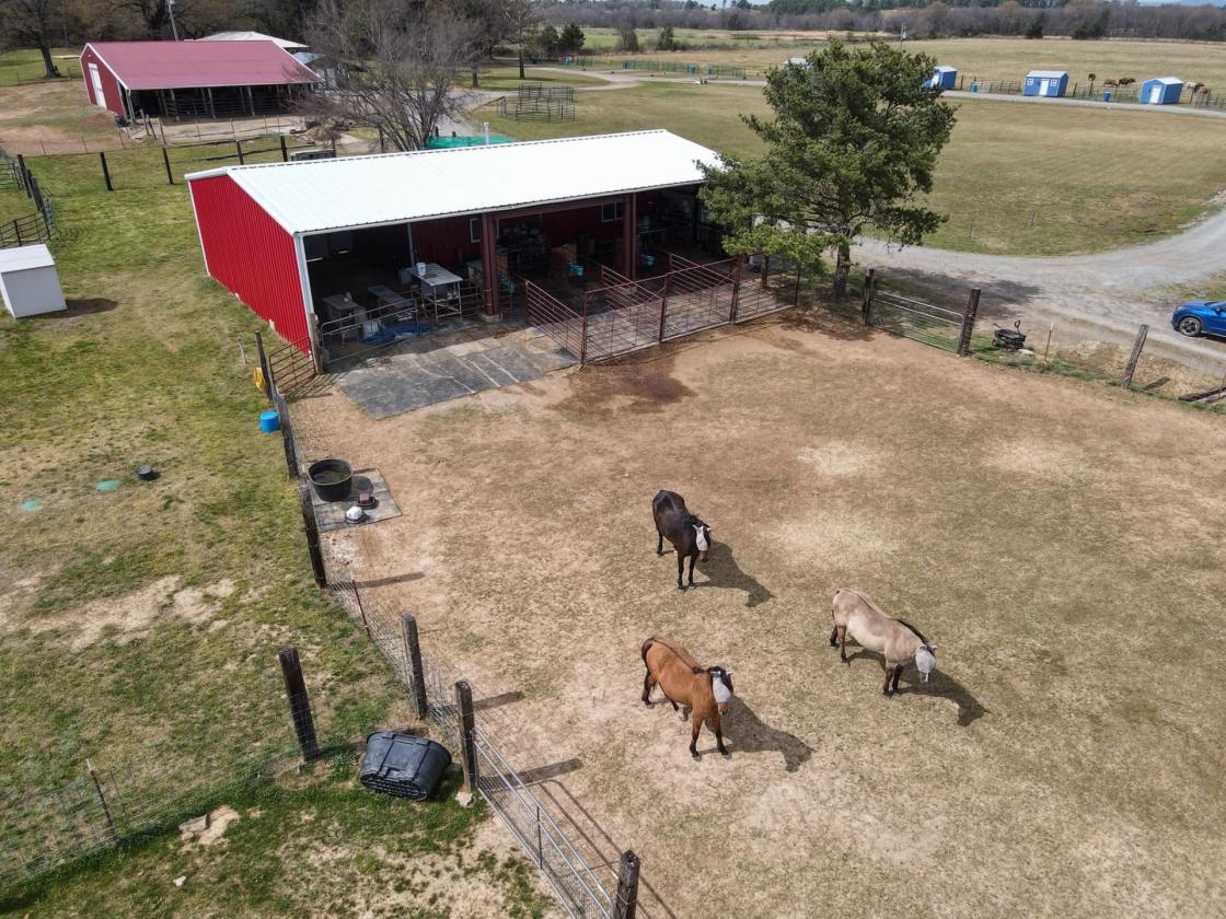 Income-Producing Equestrian Retreat - photo 7