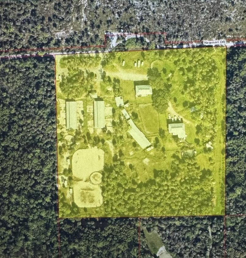 Naples Equestrian Facility on 70 acres with trails - photo 2