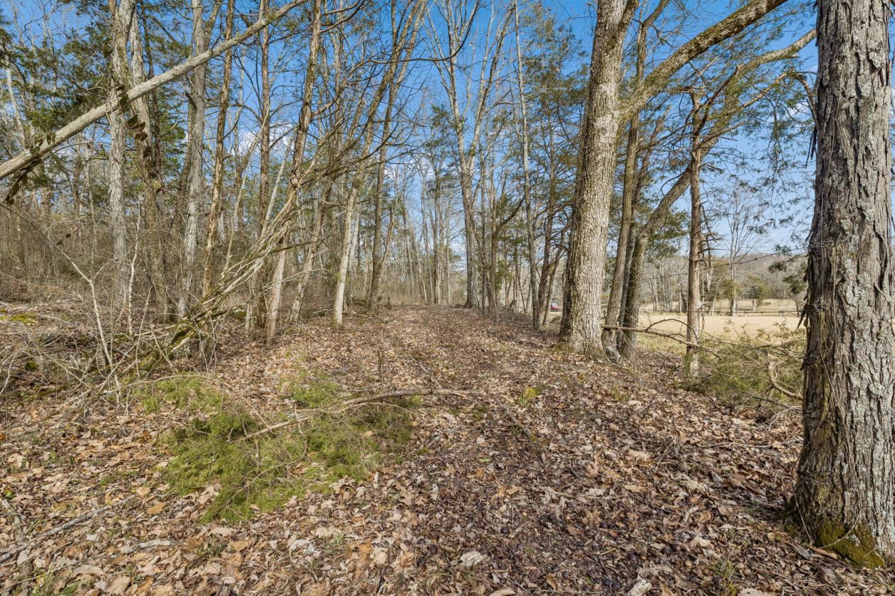 175 Gorgeous Acres - photo 27