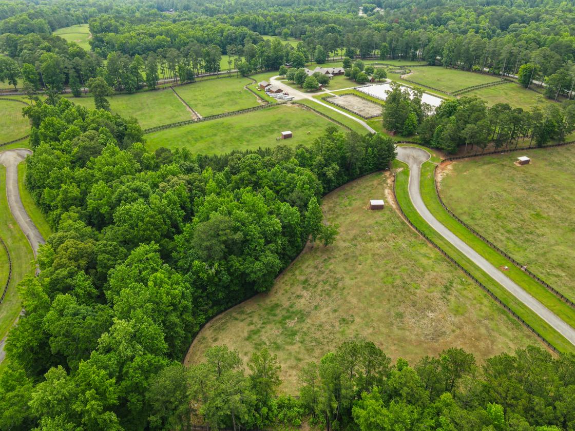 Blalock Lakes' Premier Equestrian Estate - photo 18