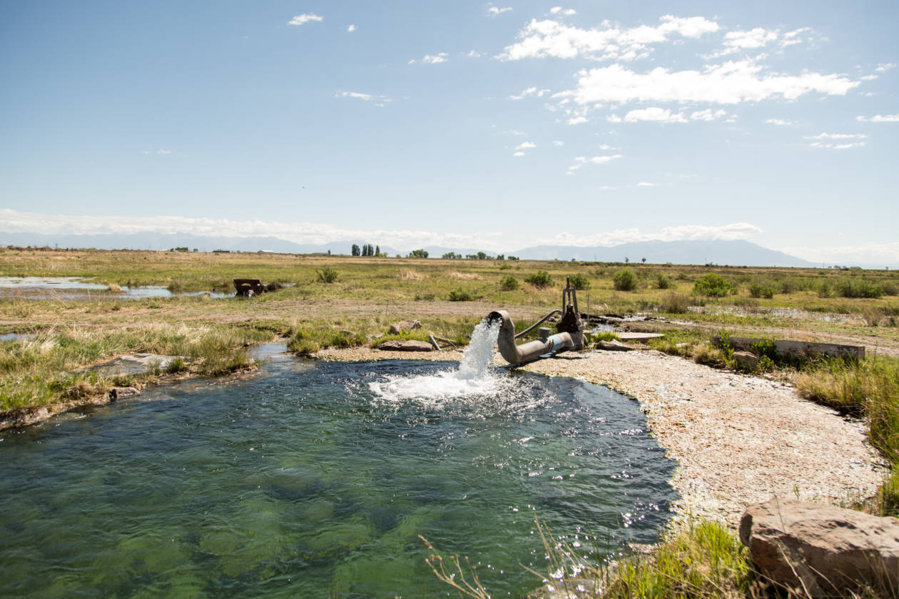 The Rio Grande River Ranch Alamosa, Alamosa County, Colorado