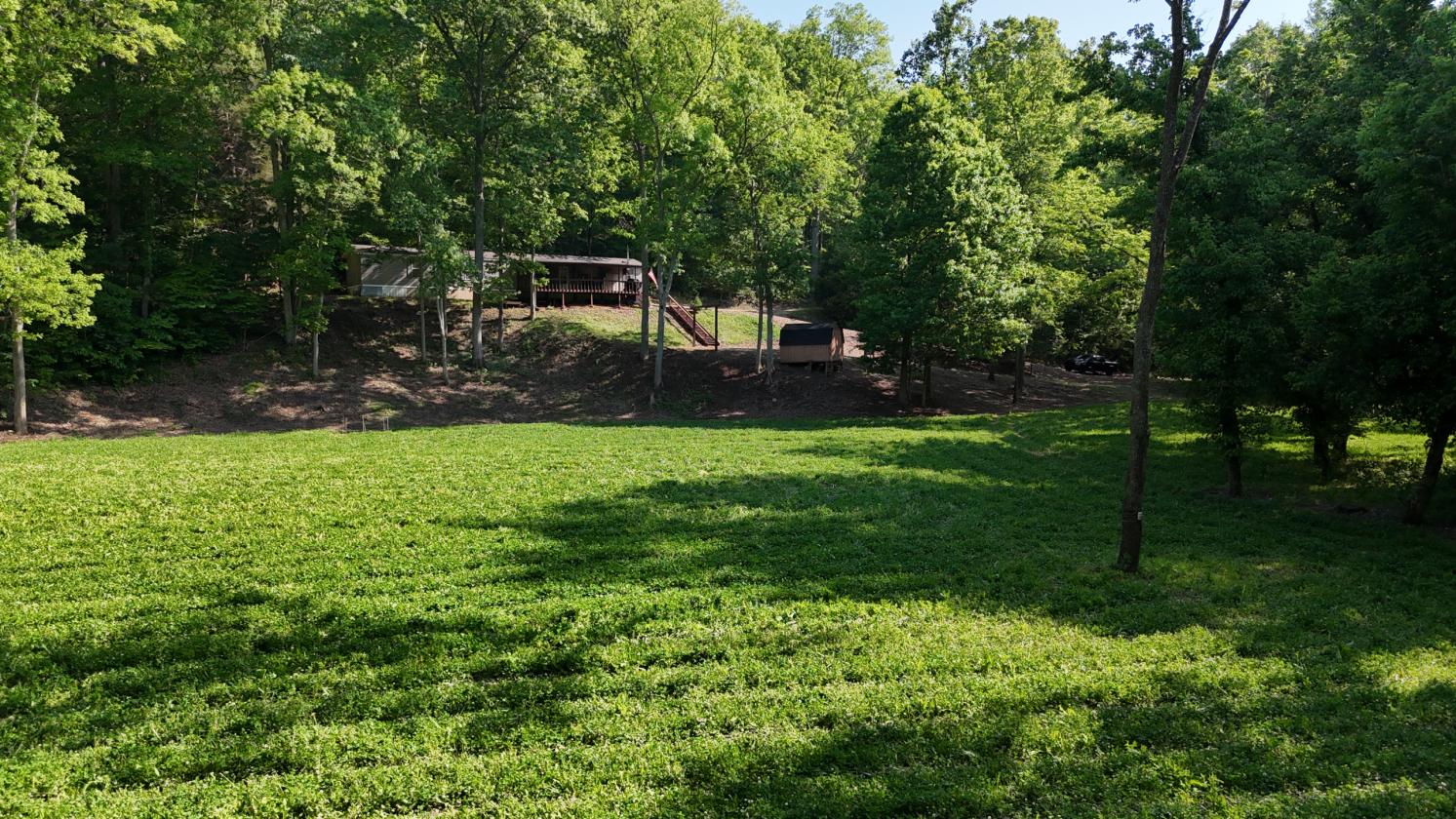 Wooded Estate With Multiple Clover Fields And Home - photo 7