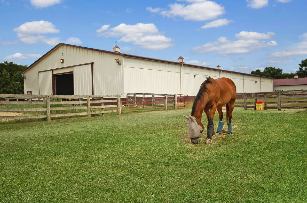 Snodell Farm104+ acre Horse Farm in Campton Hills, IL Campton Hills