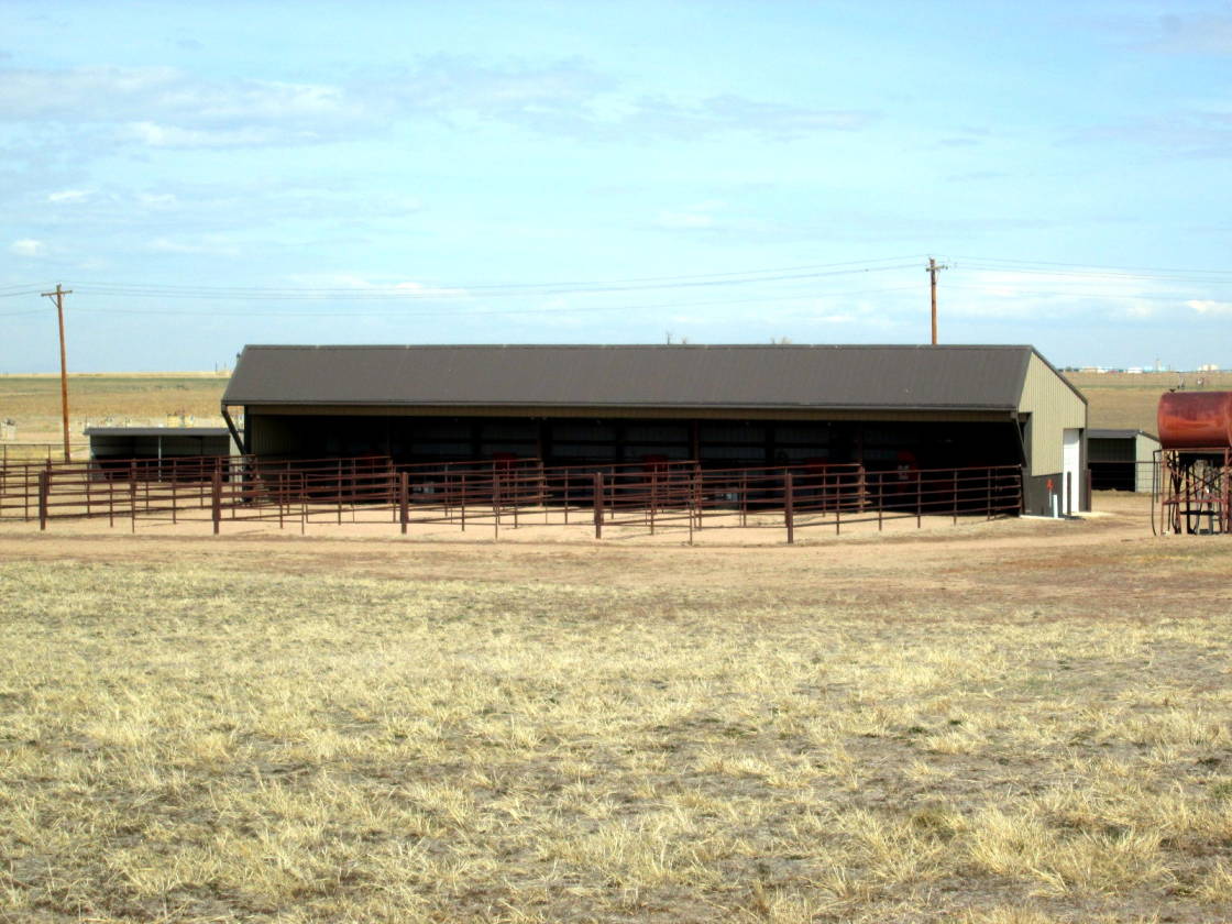 Luxurious Equestrian Estate Fort Lupton, Weld County, Colorado