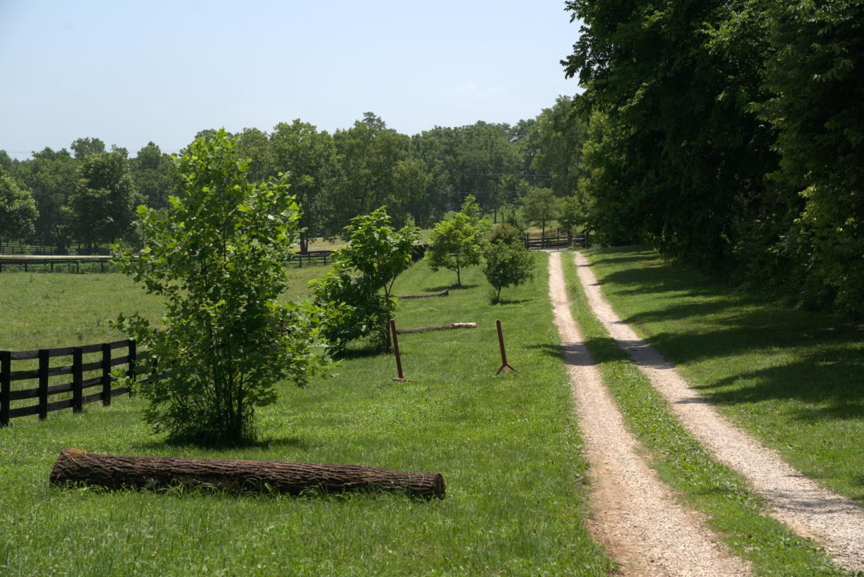 Boutique Farm in the Heart of the Bluegrass - photo 9