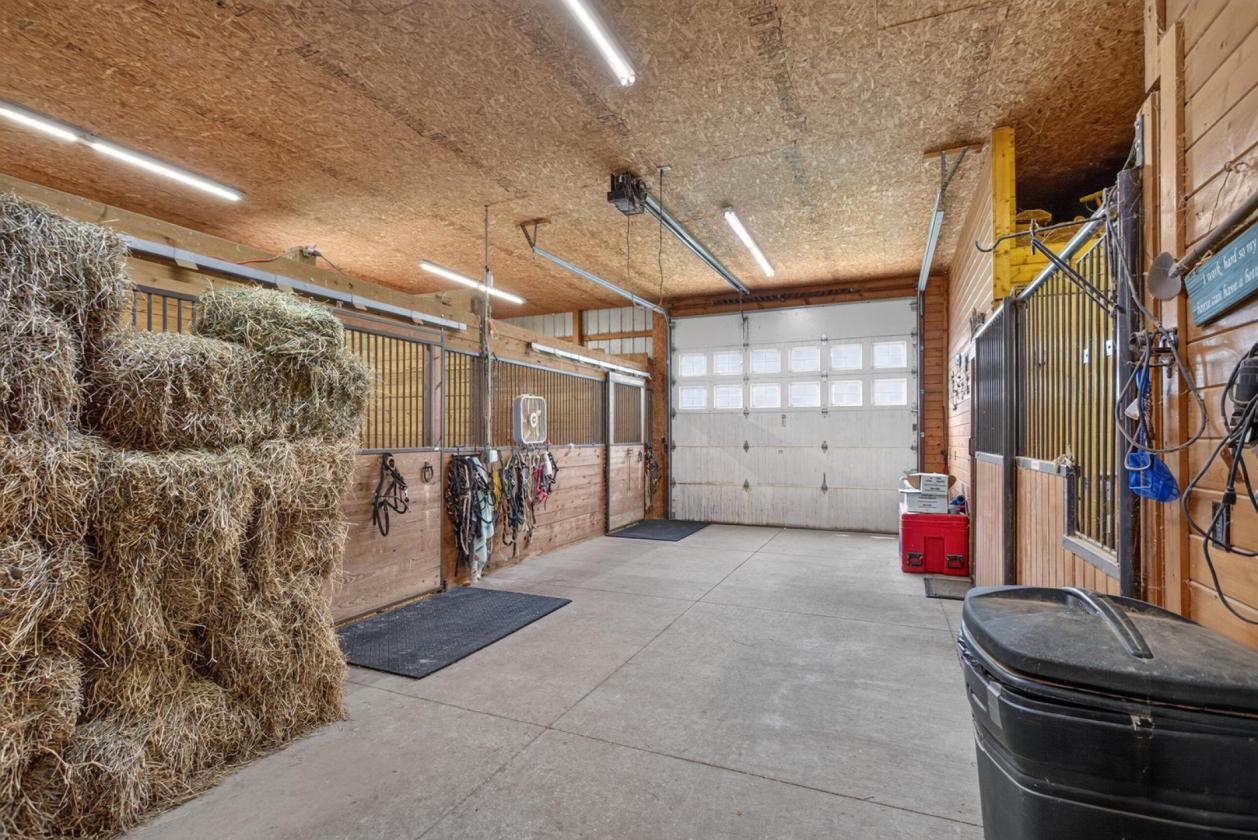 Equestrian Dream - photo 18