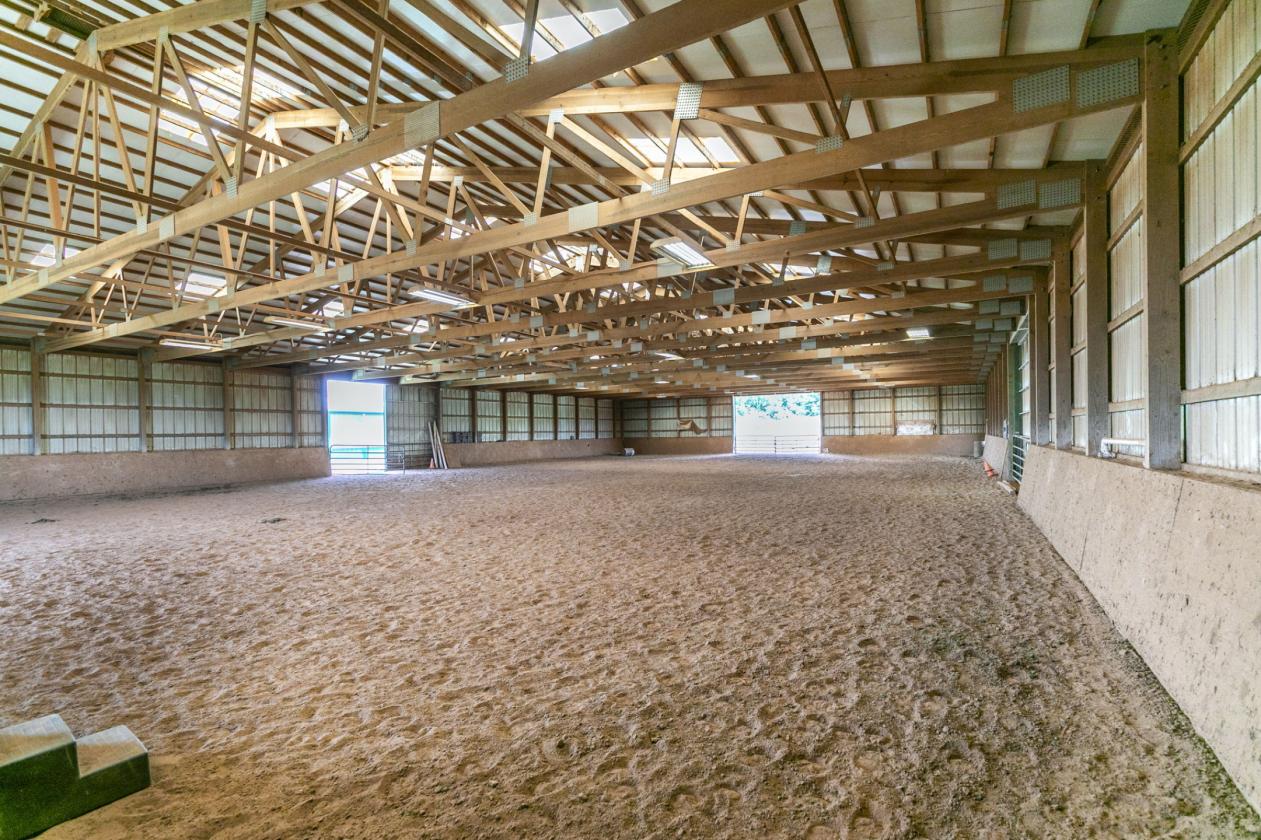 Professional Boarding/Training Facility - photo 16