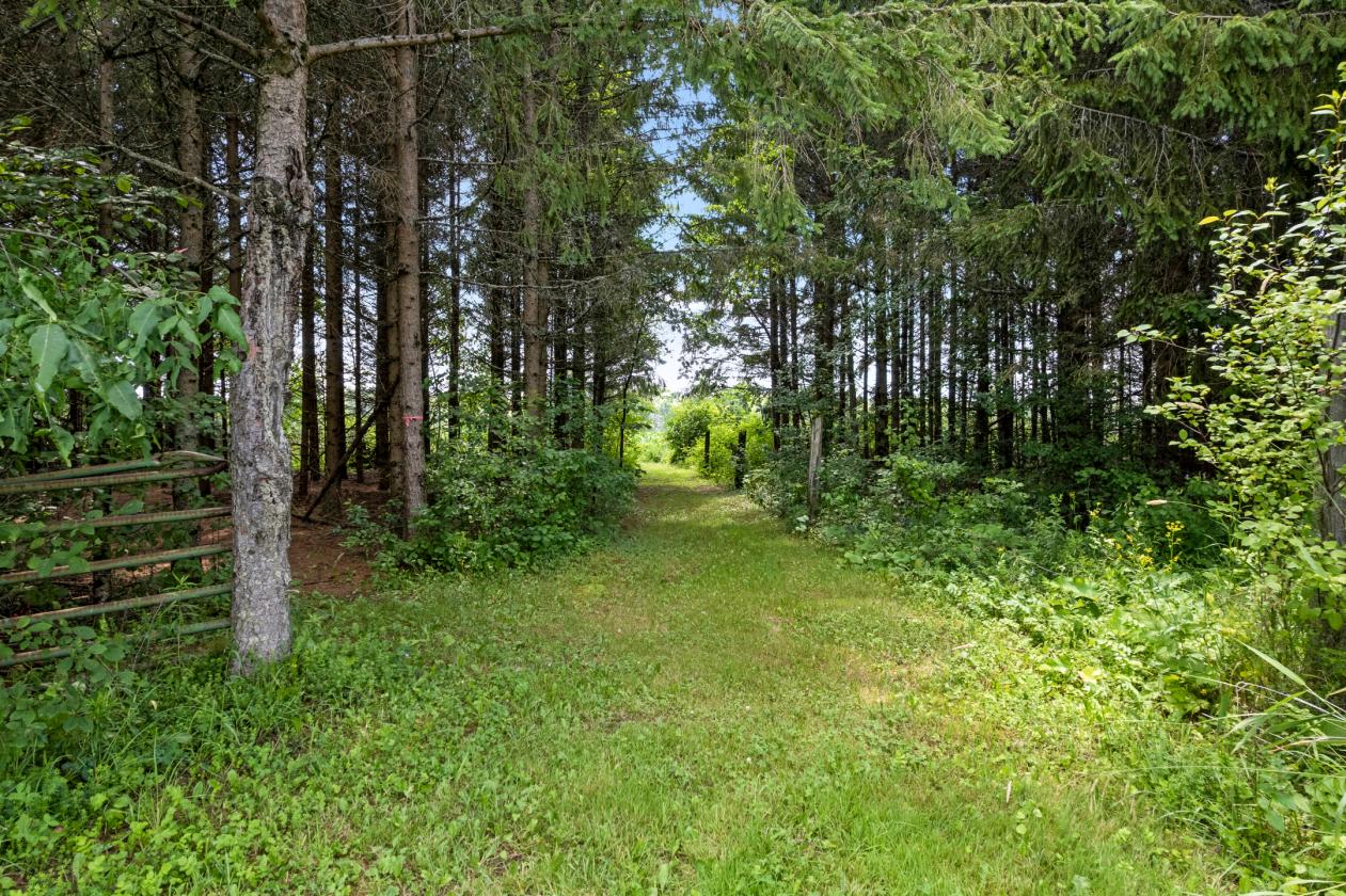 SURROUNDED BY VIBRANT EQUESTRIAN COMMUNITY - photo 29