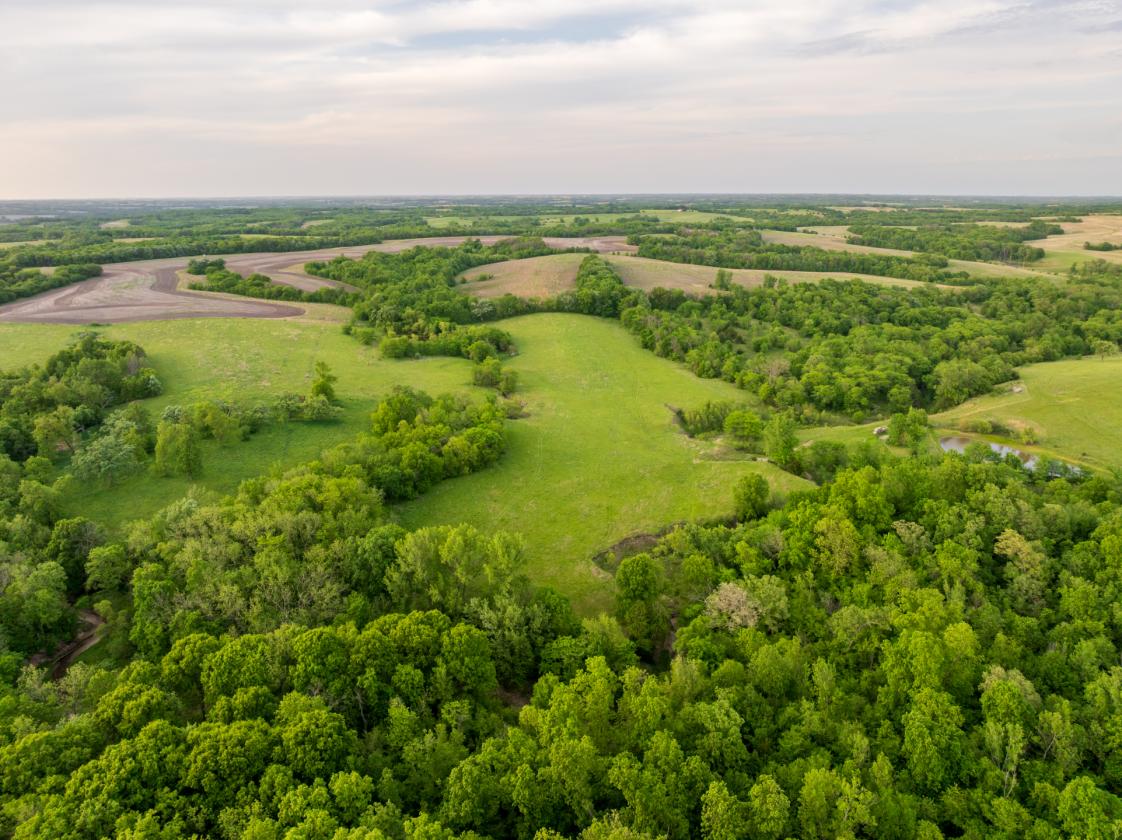 273.5 +/- Acre Turn-Key Cattle and Horse Property - photo 11