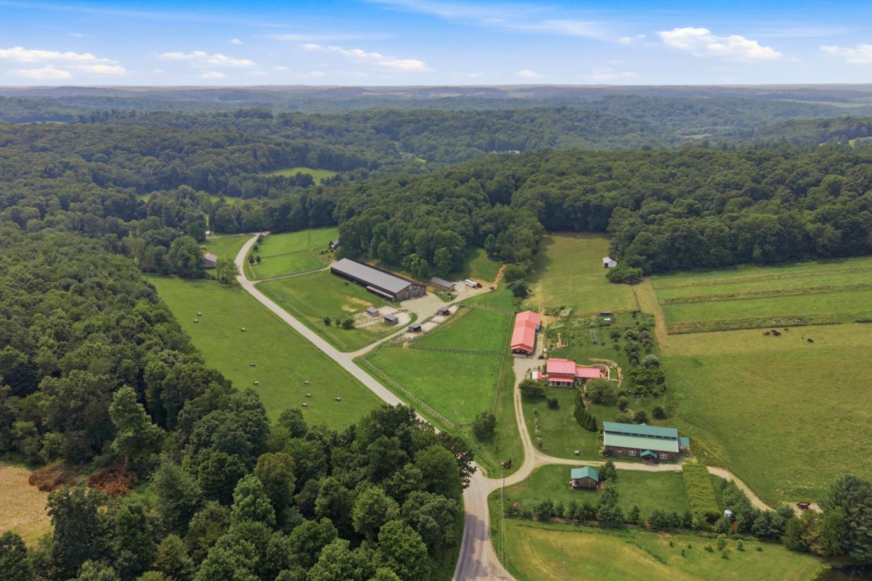 Exceptional Mohican Equine Estate Auction - photo 1