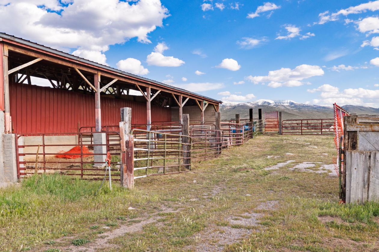 Storybook Luxury Equestrian Estate - photo 15