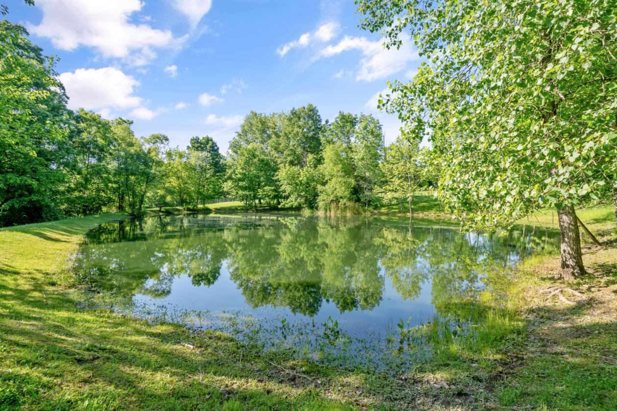 Expansive Equestrian Estate on 13 Acres! - photo 28