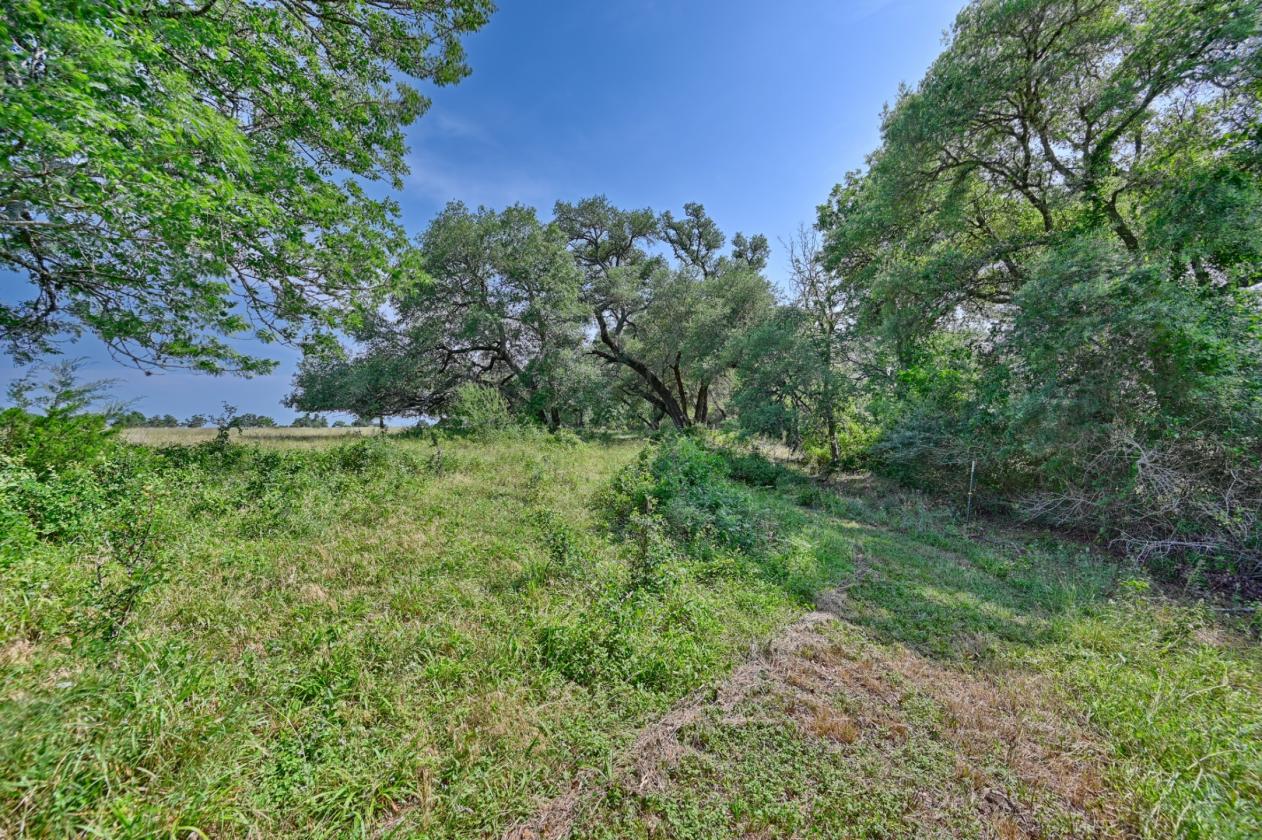 High Point Ranch - photo 20