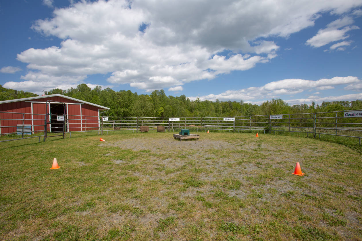 Horse Farm with 37+ Acres & a 6 Stall Barn! Mineral, Louisa County