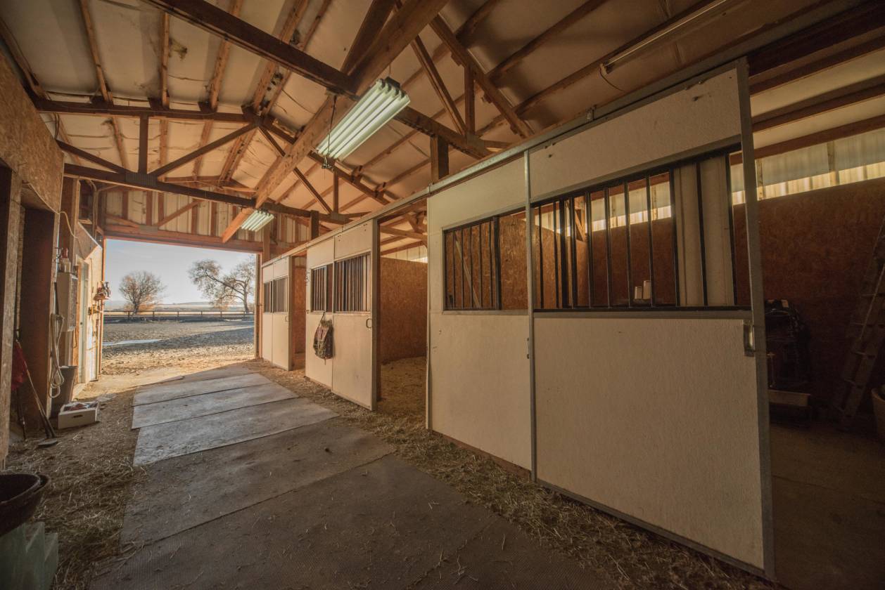Horse and Home 40 Acres with Amazing Versatile Buildings! Ellensburg, Kittitas County