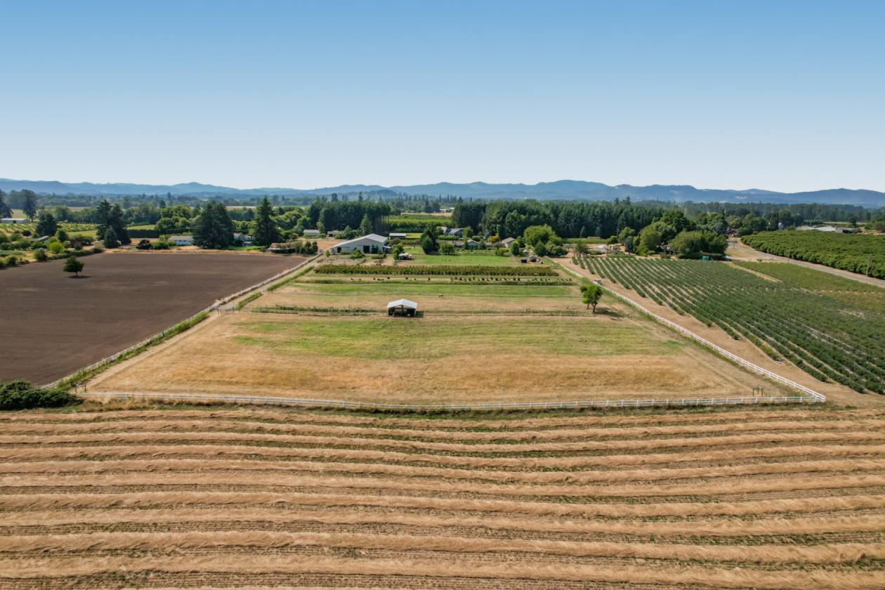 The Ultimate Horse Property with Indoor Arena - photo 21