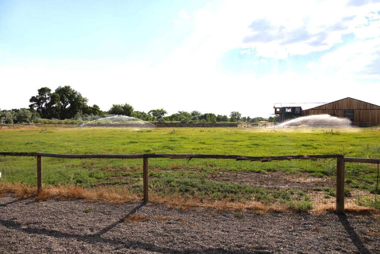 LeClair Horse Retreat - photo 29