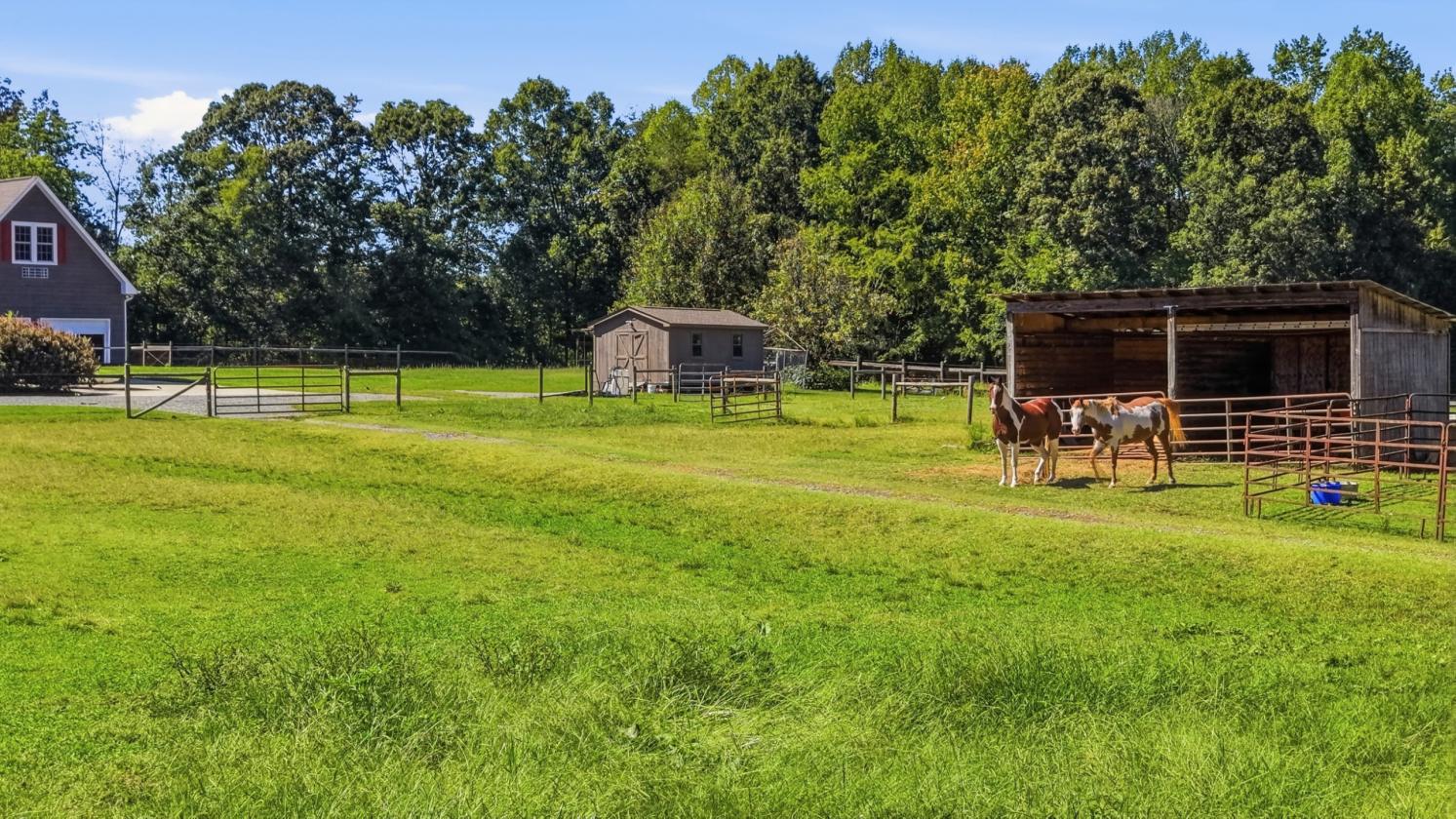 Horse Property for Sale in Tranquil Setting - photo 7