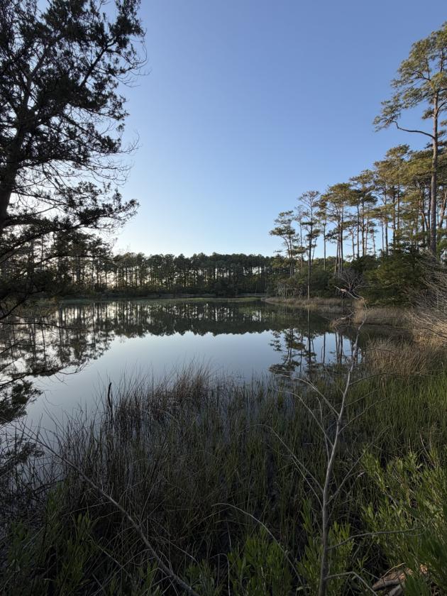 Premier 22± Acre Waterfront Equestrian Estate - photo 14