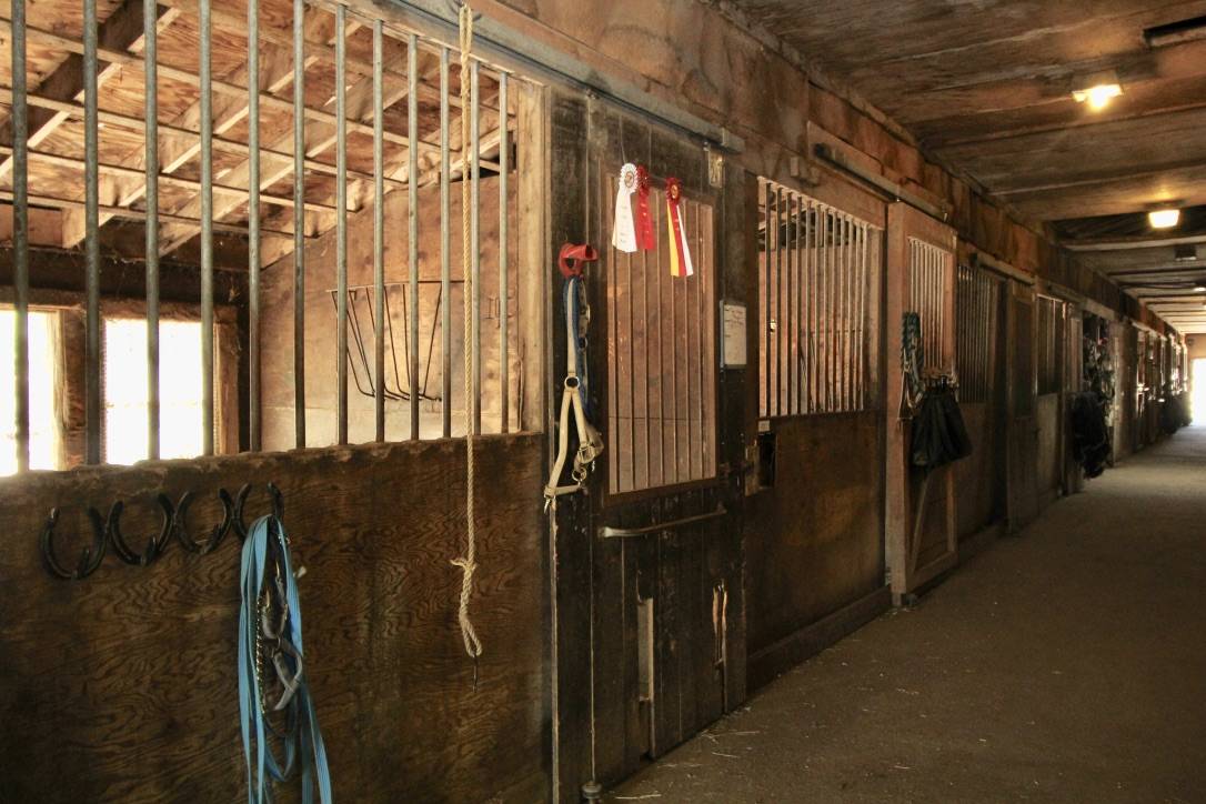 Equestrian Property on Cape Cod Falmouth, Barnstable County, Massachusetts Horse farm