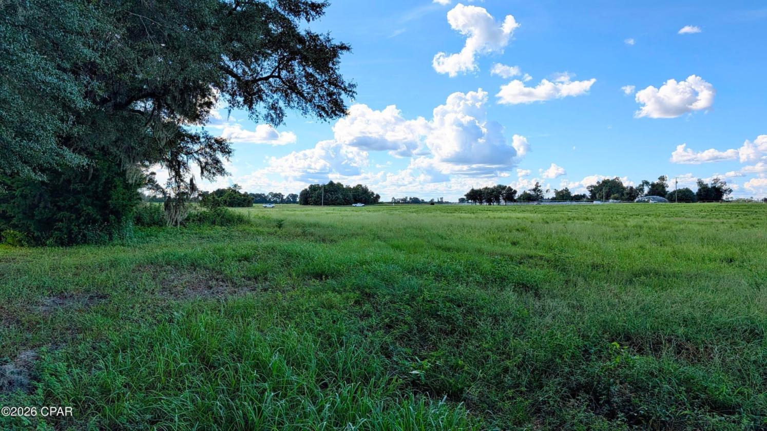 13.25 Acres of Prime Country Living in NW FL - photo 6