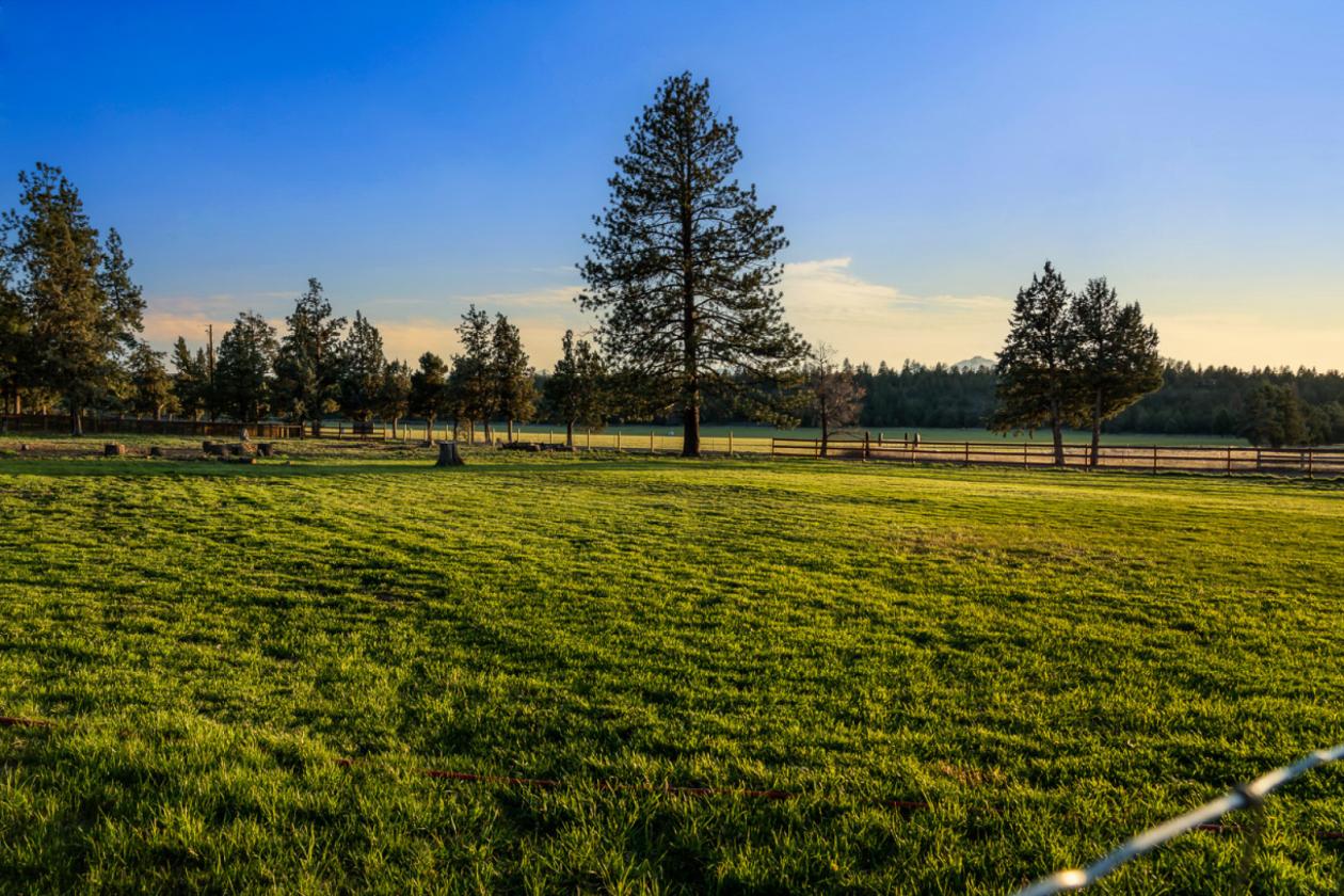 Spectacular Horse Facility near Sisters - photo 29