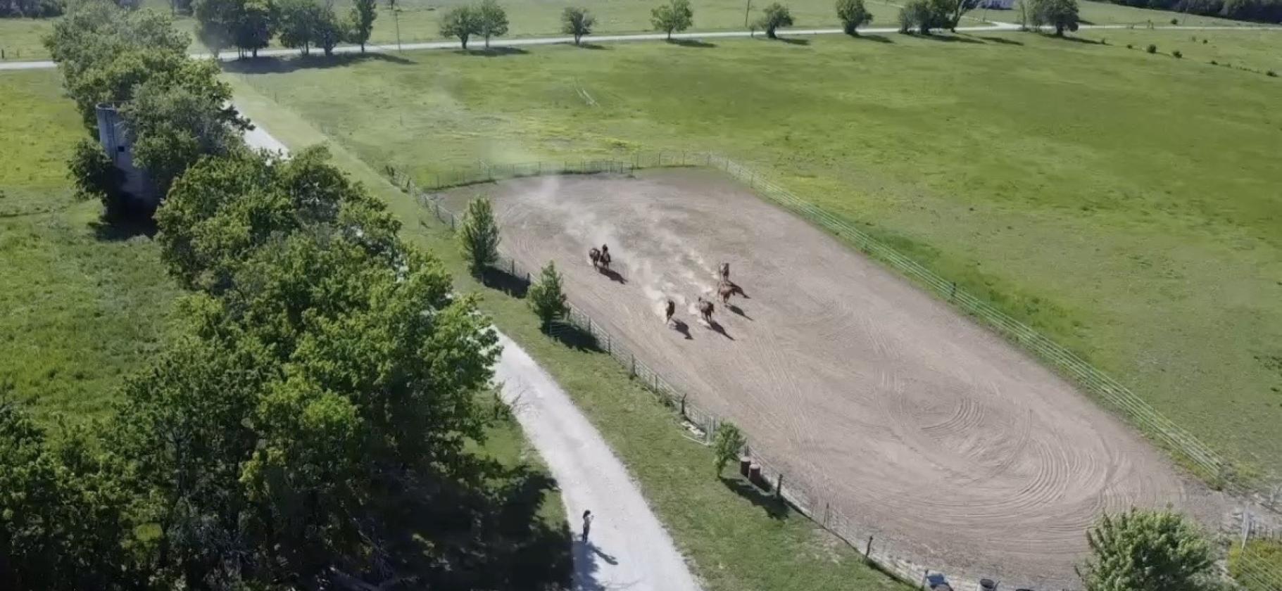 Horse Property Dream - photo 8