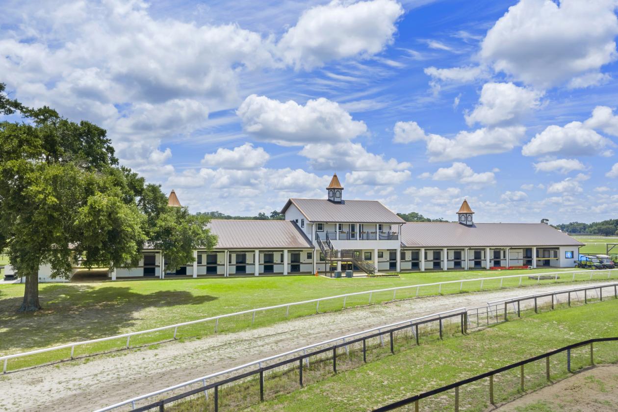 BELLEMONT FARM
YOUR PREMIER TRAINING CENTER - photo 6