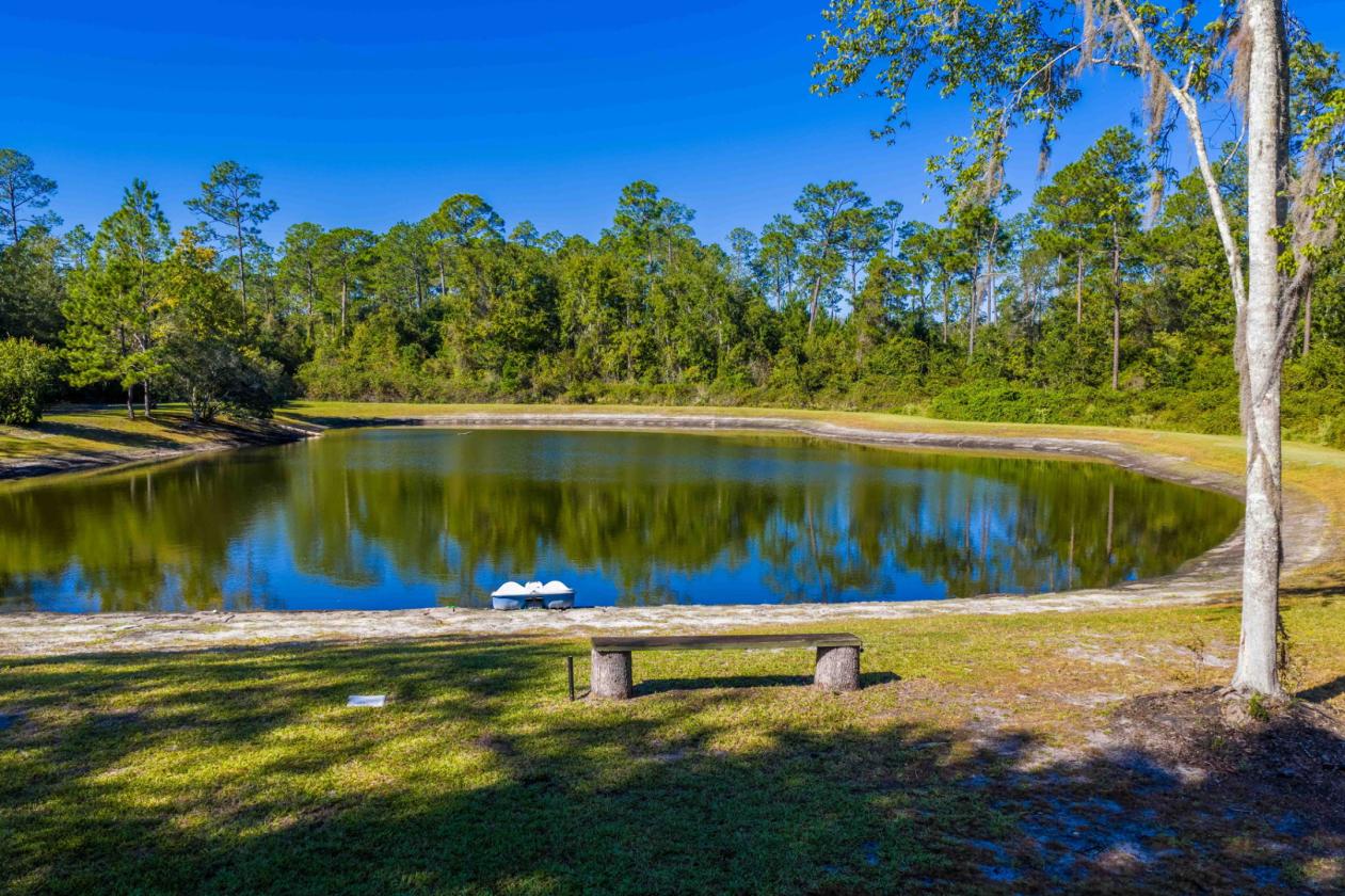 13+ ac. Home & ADU near Jax Equestrian Center! - photo 17