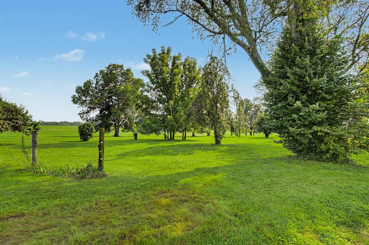 GORGEOUS PROPERTY WITH 12.72 ACRES - photo 15